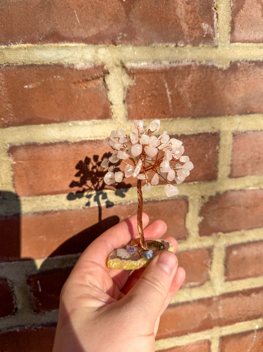 Rose Quartz Money Tree charged with eclipse energy