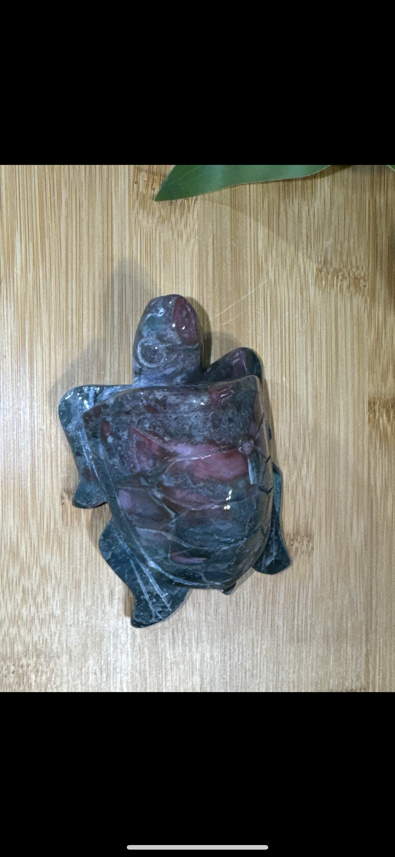 Pastel Ocean Jasper Carved Turtle