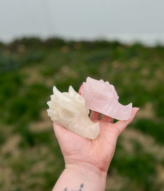 Small Dragons Head