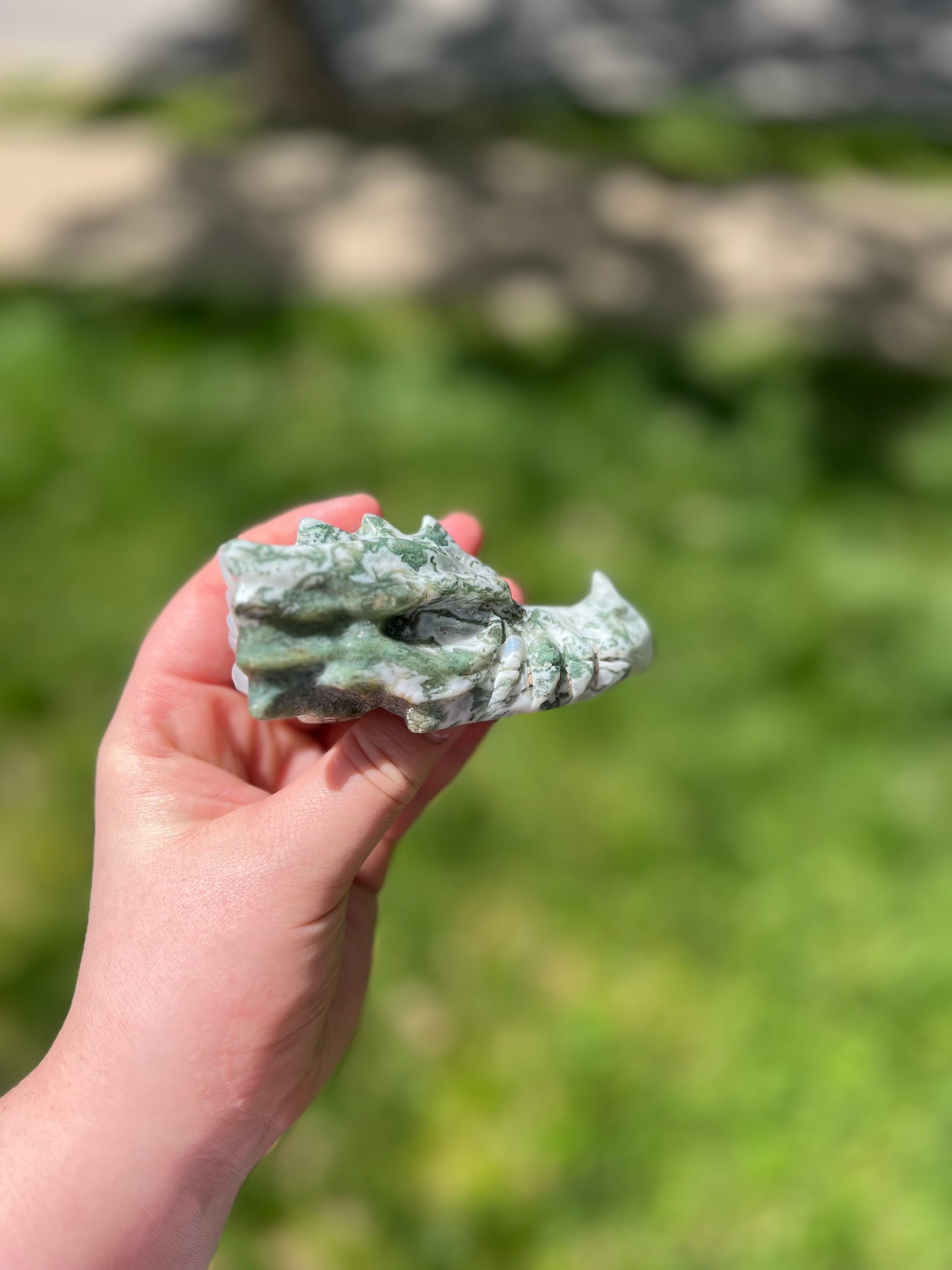 Tree Agate Dragon's Head