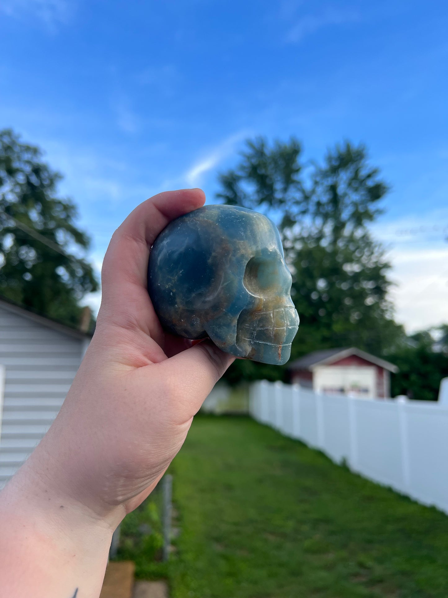 Blue Onyx Skull