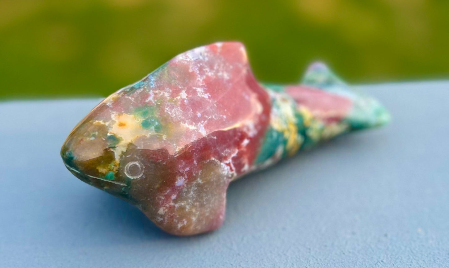 Ocean Jasper Killer Whale