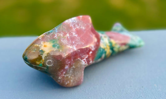 Ocean Jasper Killer Whale