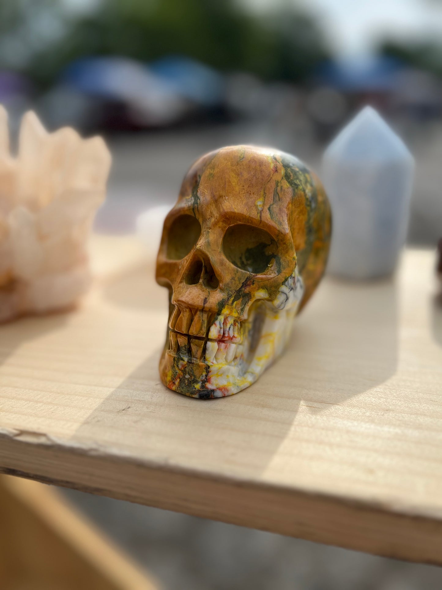 Rainforest Jasper Skull