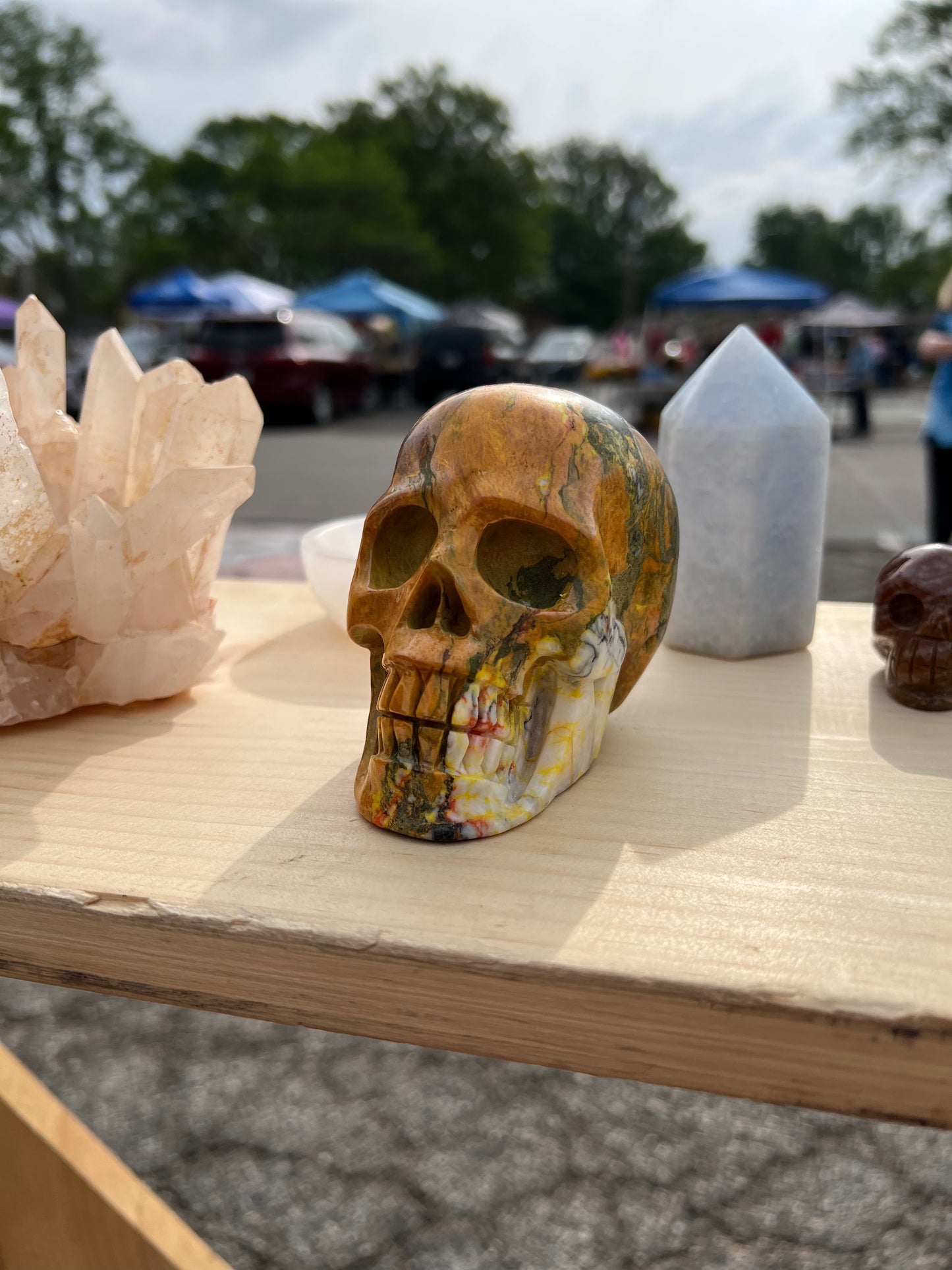 Rainforest Jasper Skull