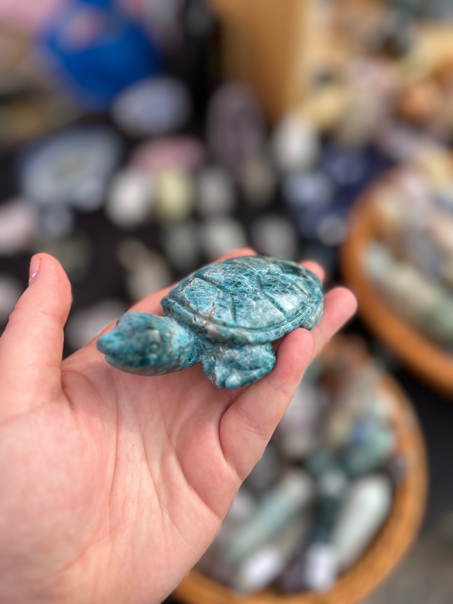 Blue Apatite Turtle