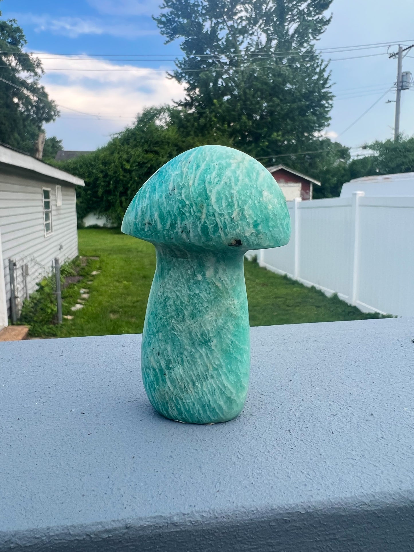 Amazonite Large Mushroom