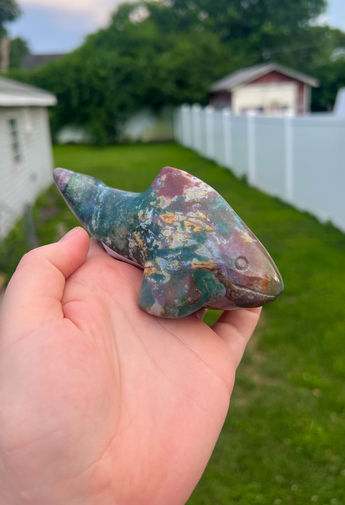 Ocean Jasper Killer Whale
