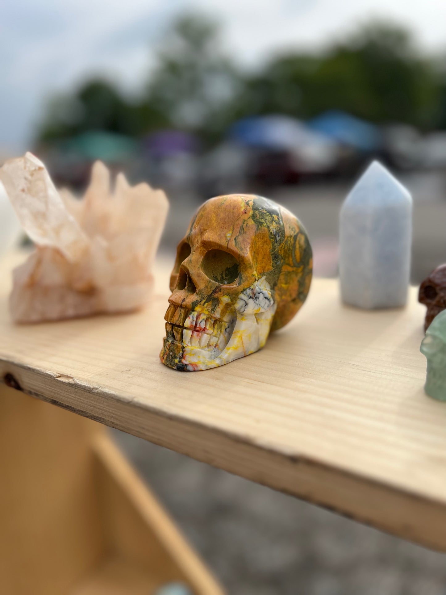 Rainforest Jasper Skull