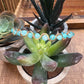 Handmade Natural Aquamarine Faceted Crystal Bangle Bracelet