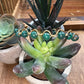 Handmade Malachite Wave Bangle Bracelet