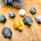 Zen Garden