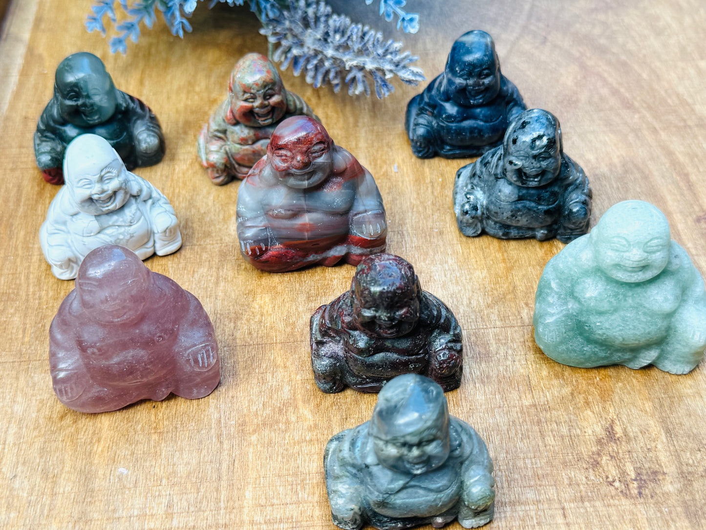 Zen Garden