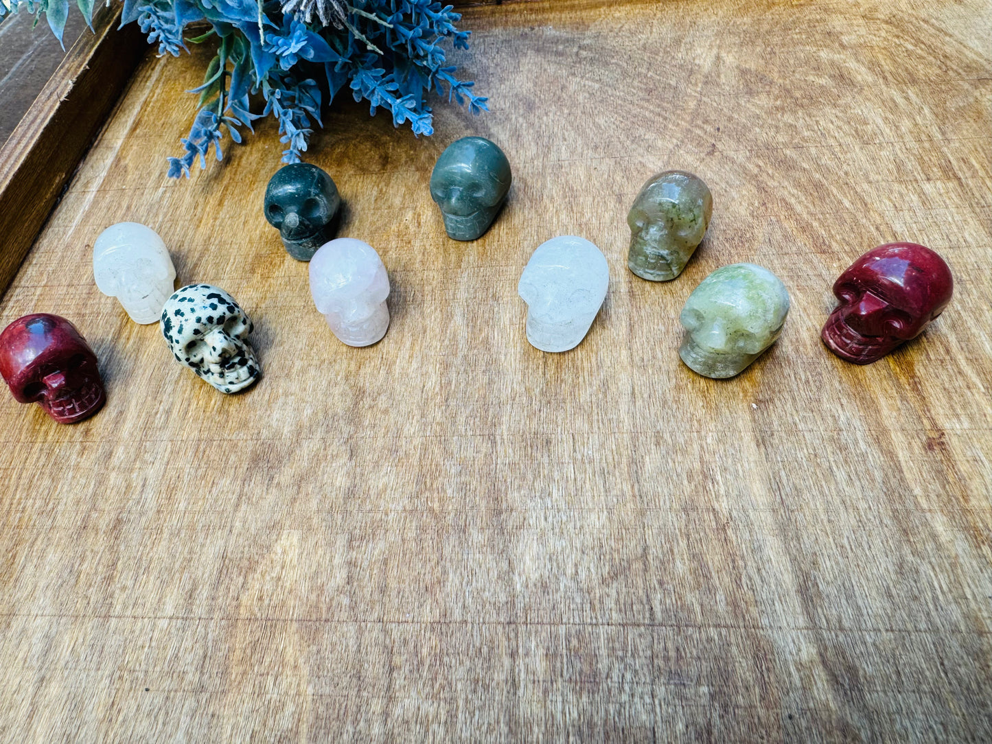 Zen Garden