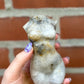 Manifestation Body