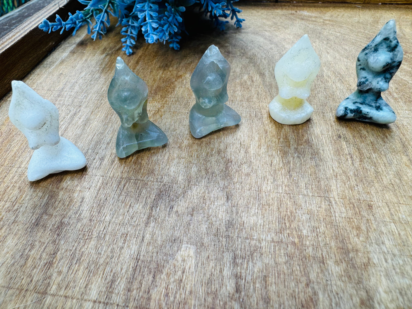 Zen Garden