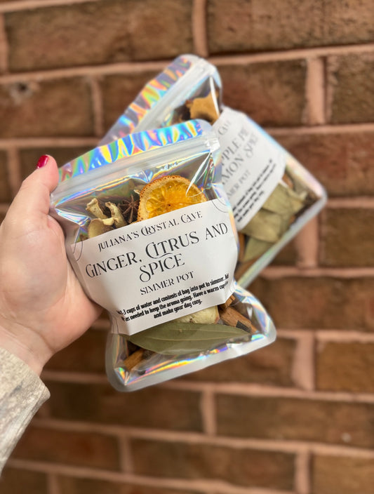 Ginger, Citrus & Spice Organic Simmer Pot