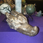 Volcanic Agate Dragon Carving