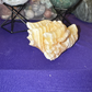 Orange Calcite Dragon Carving