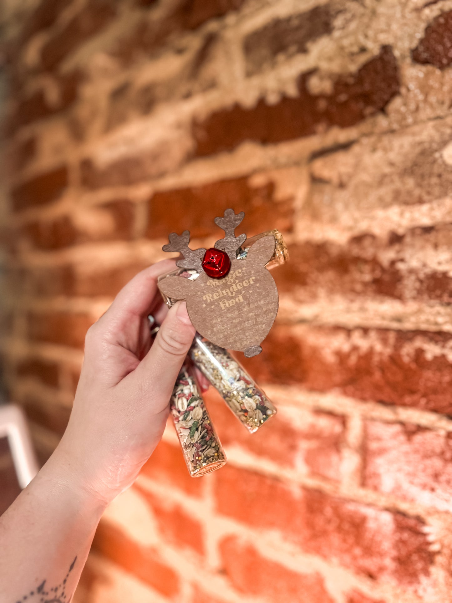 Magic Reindeer Food & Wassail Bowl Simmer Pot Set