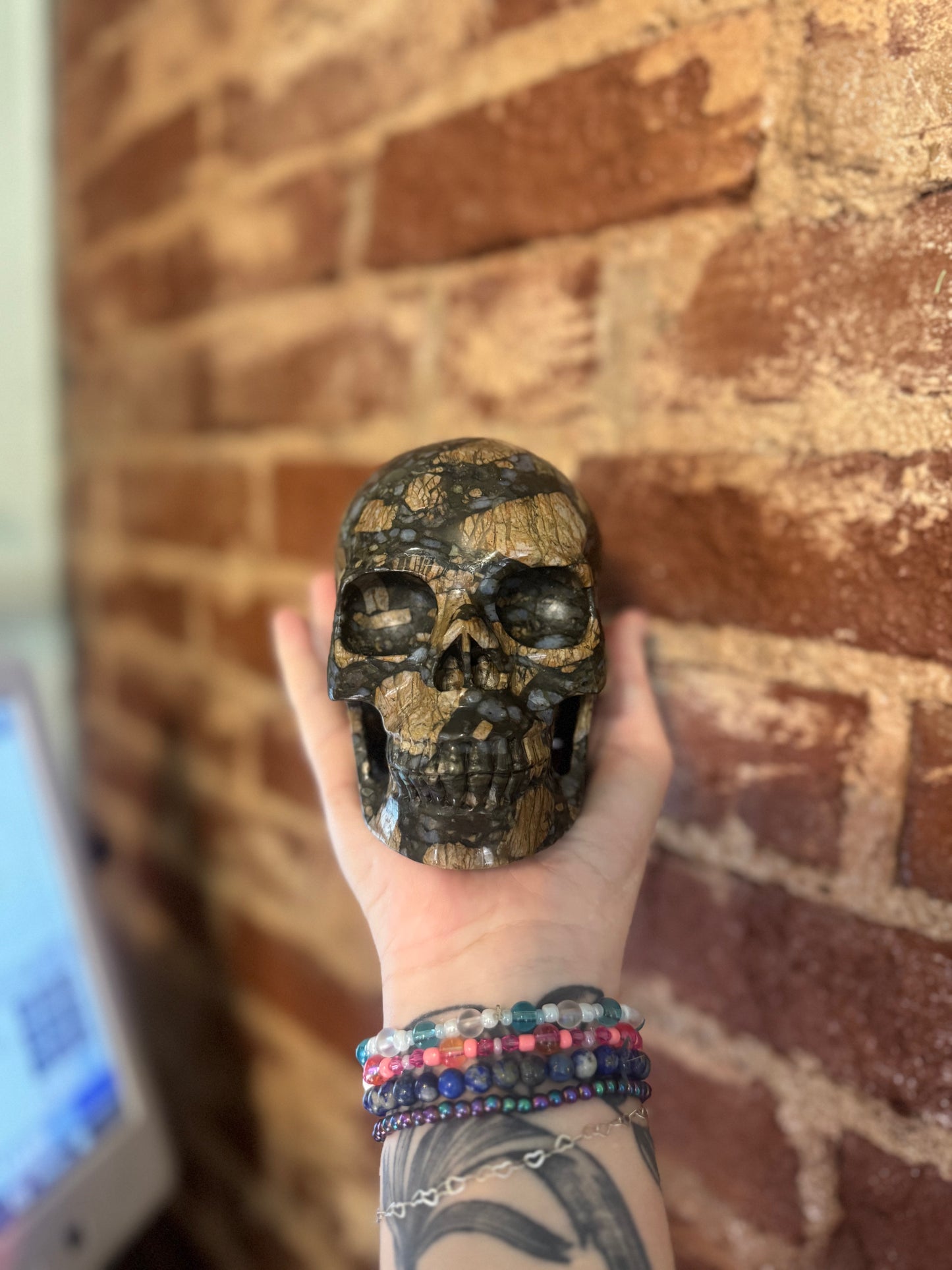 Que Sera SKU Large 5.5 inches