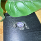Renaissance Dragon Pendant with Natural Dream Amethyst