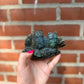 Double Labadorite Owls