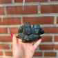 Double Labadorite Owls