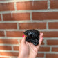 Obsidian Money Drawing Frog