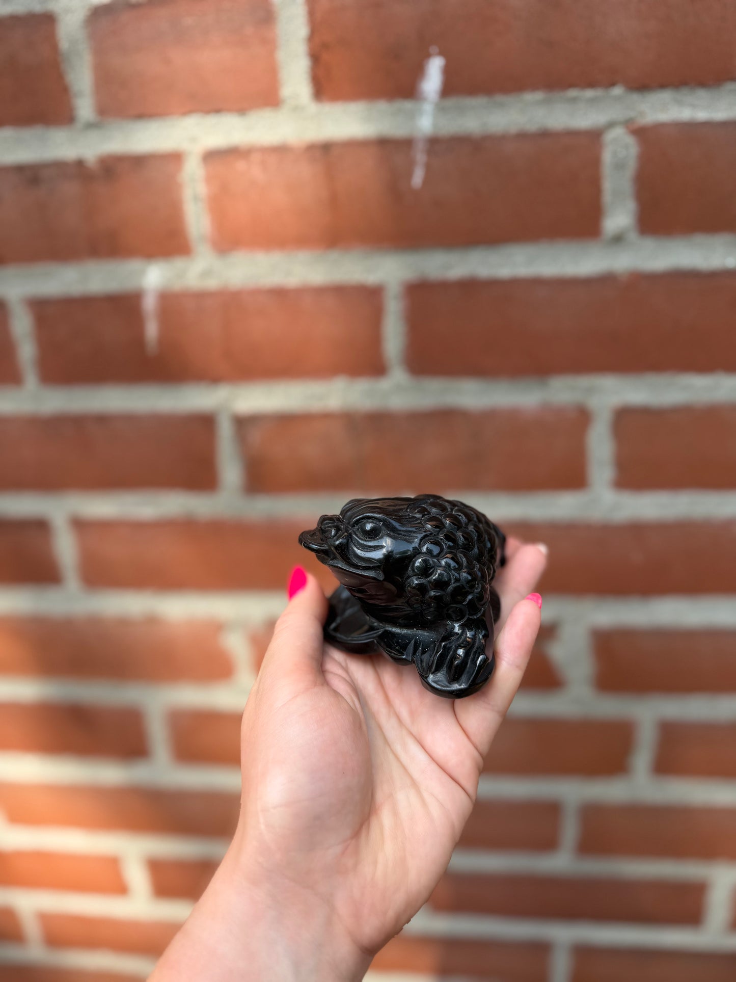 Obsidian Money Drawing Frog