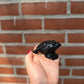 Obsidian Money Drawing Frog