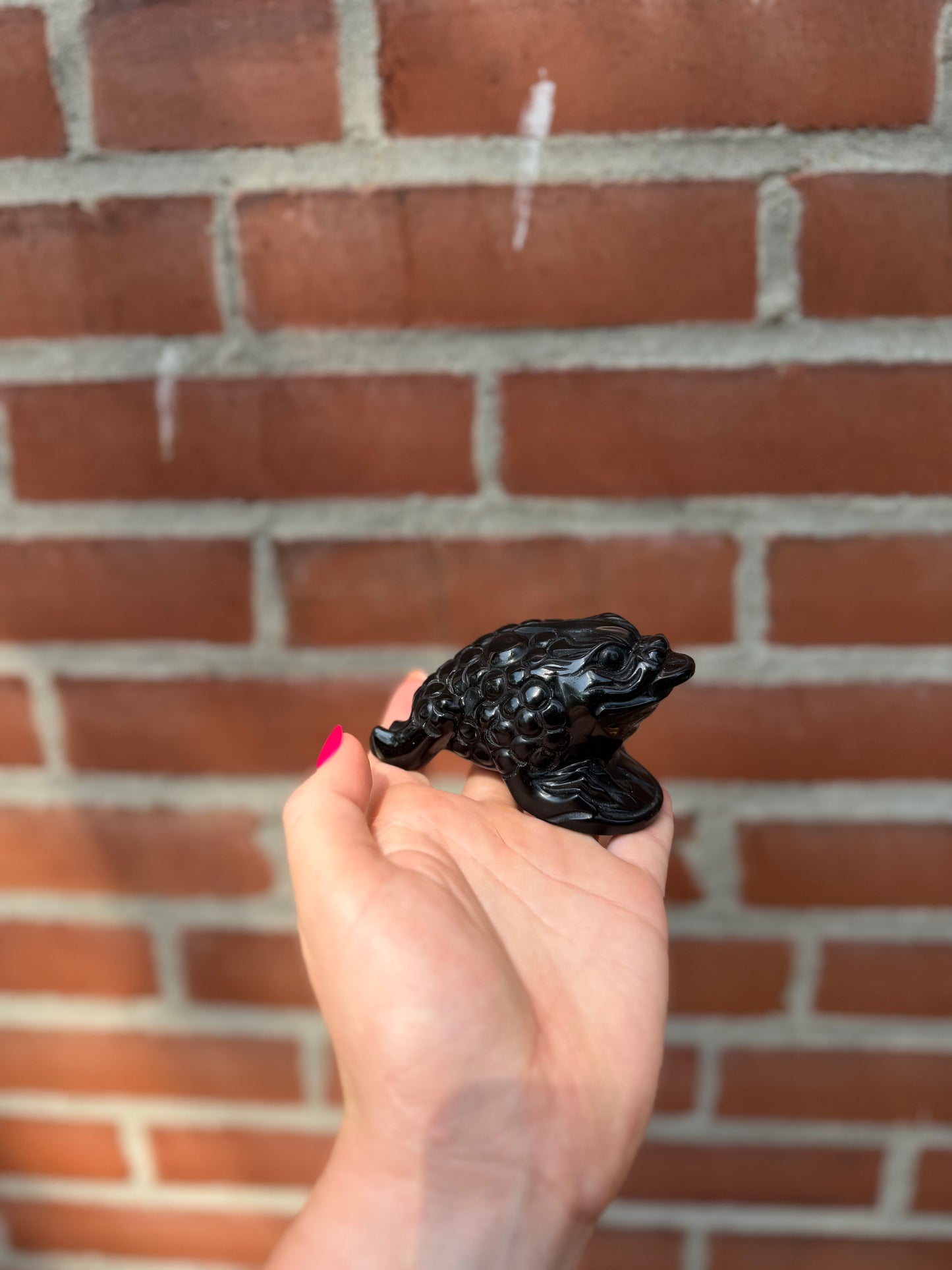 Obsidian Money Drawing Frog