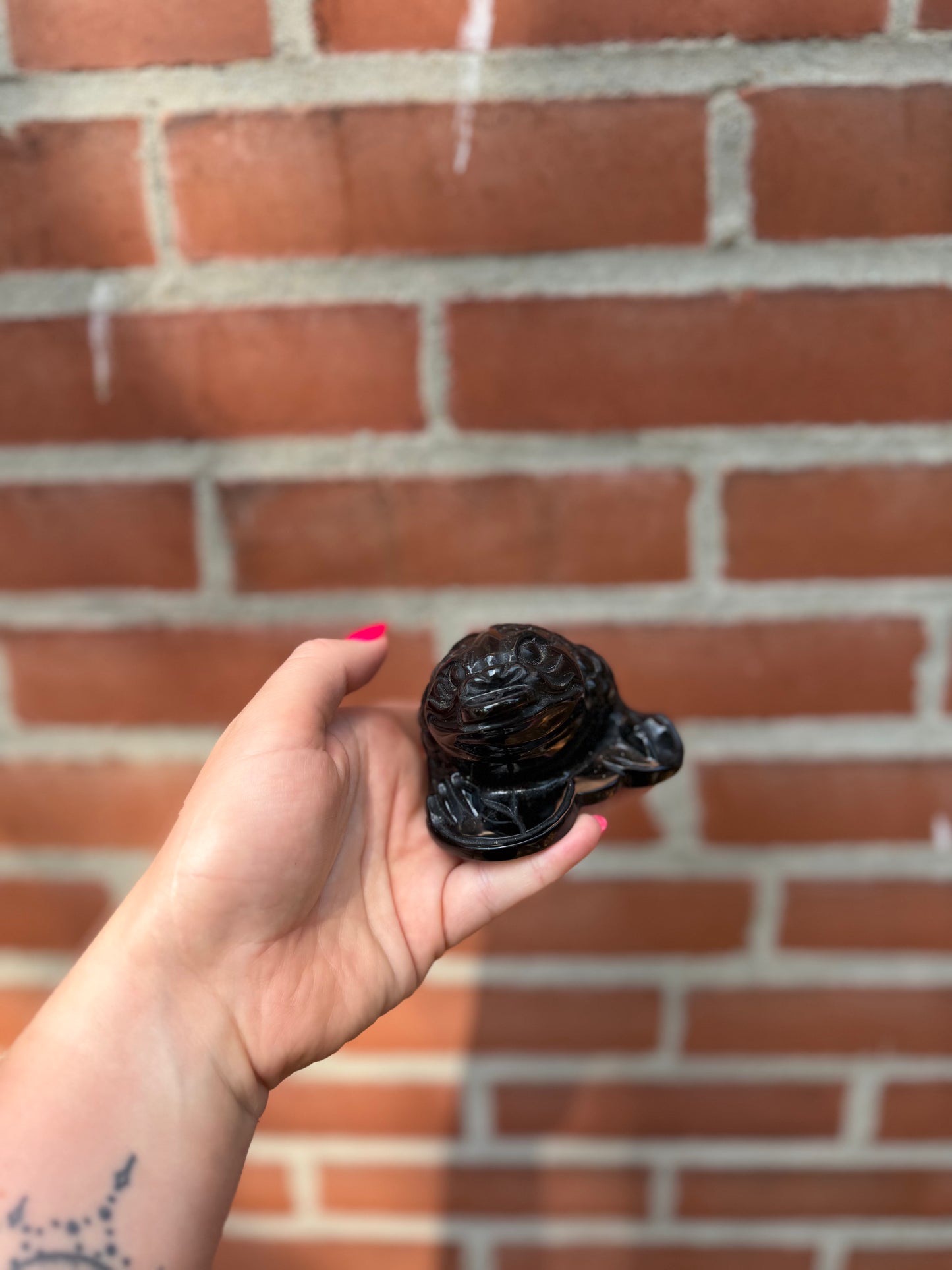 Obsidian Money Drawing Frog