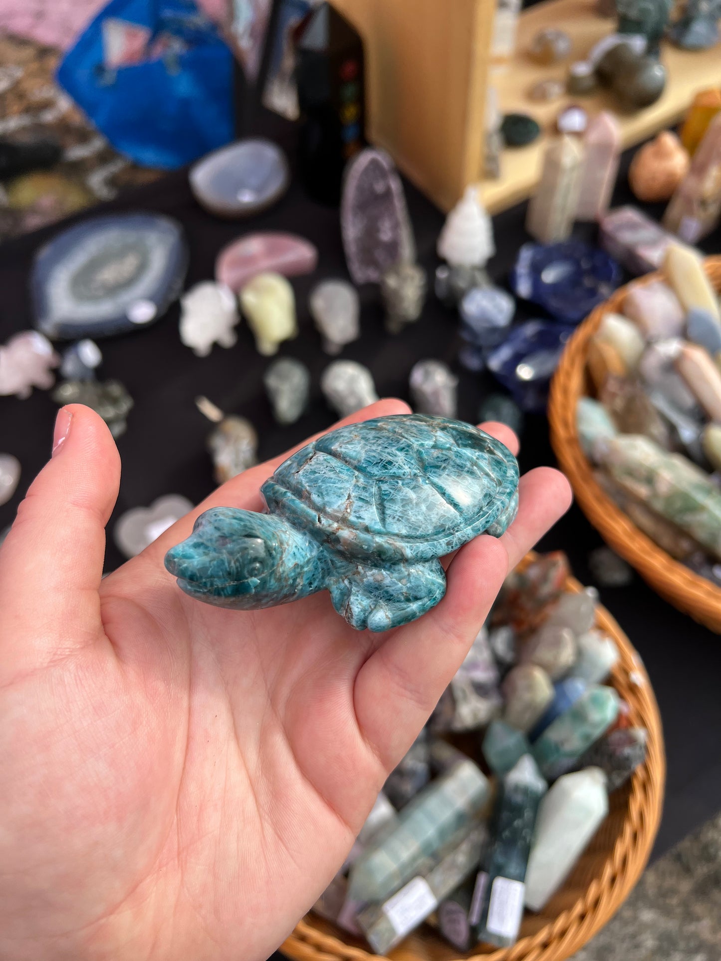 Blue Apatite Turtle